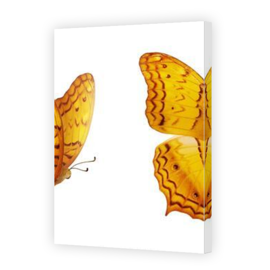 Thumbnail for Canvas - Mirror Image Canvas Wrap