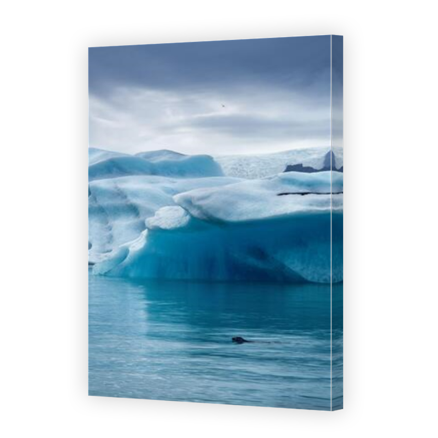 Thumbnail for Canvas - Mirror Image Canvas Wrap