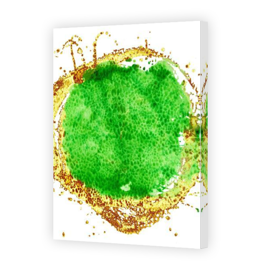 Thumbnail for Canvas - Mirror Image Canvas Wrap