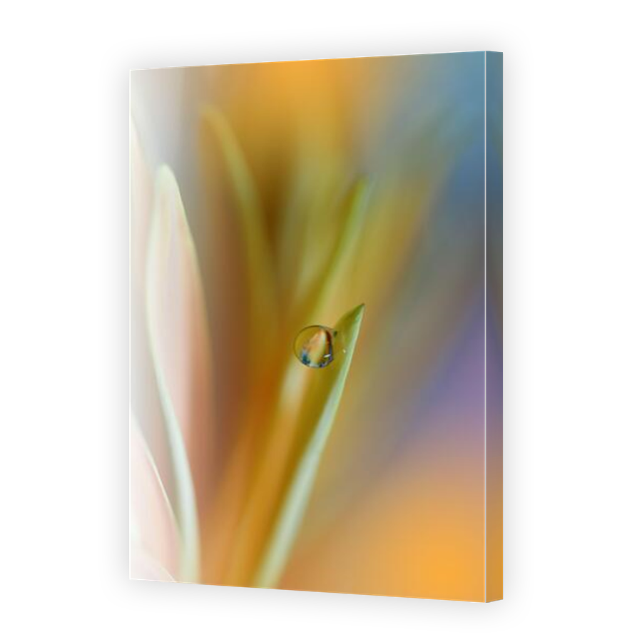 Thumbnail for Canvas - Mirror Image Canvas Wrap