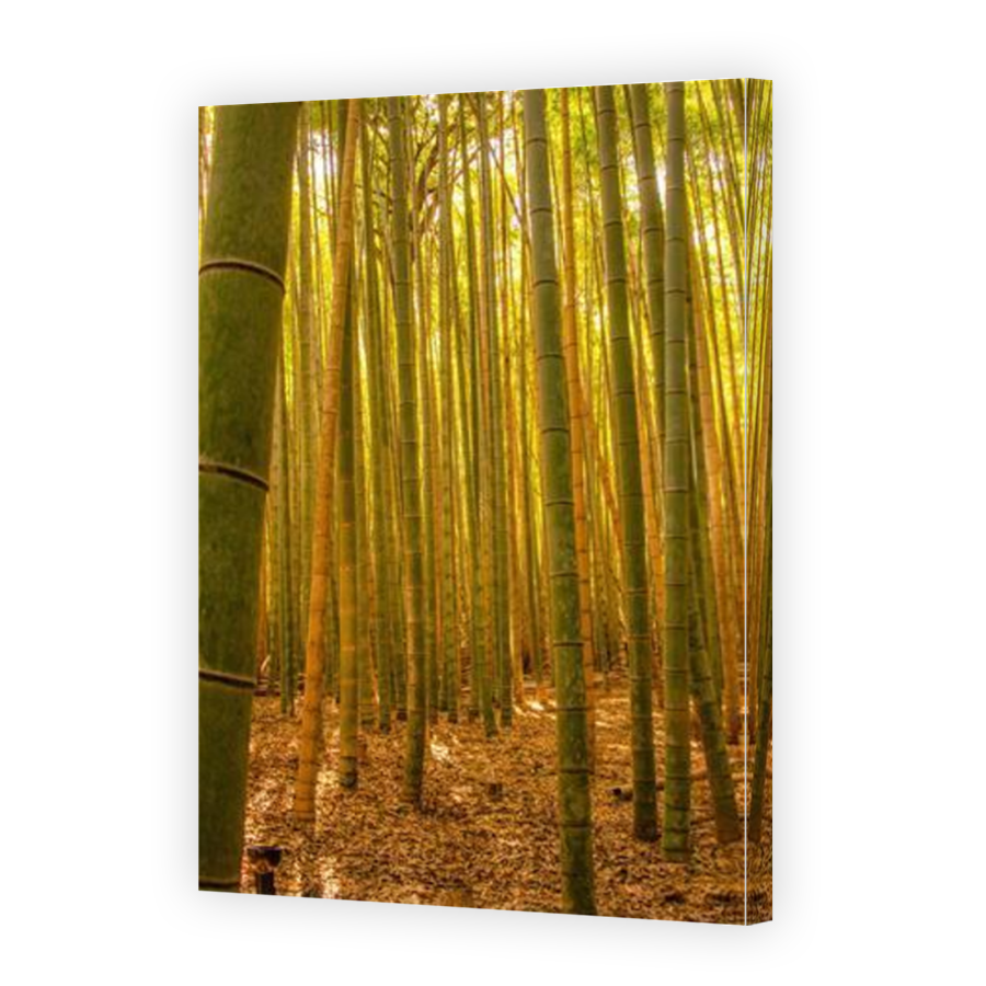 Thumbnail for Canvas - Mirror Image Canvas Wrap