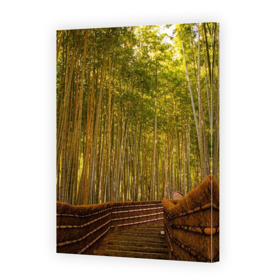 Thumbnail for Canvas - Mirror Image Canvas Wrap