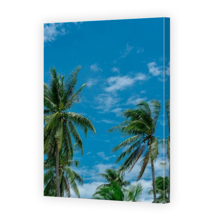 Thumbnail for Canvas - Mirror Image Canvas Wrap