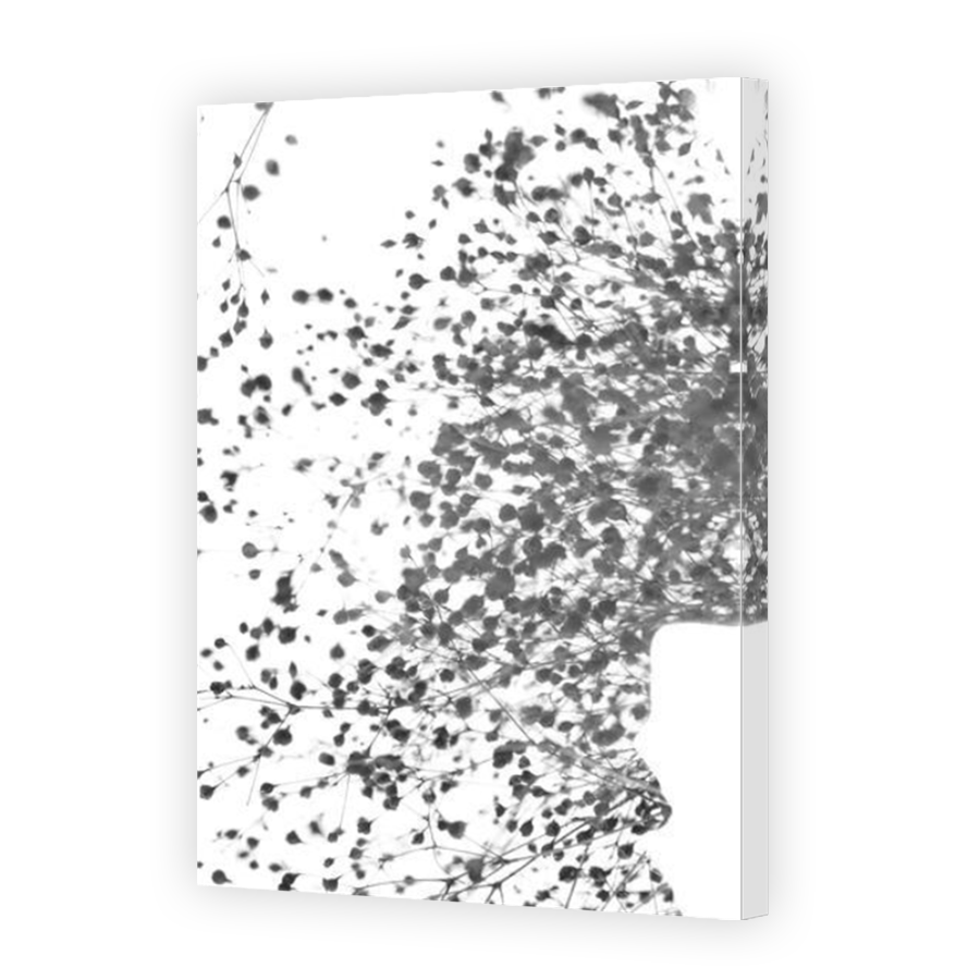Thumbnail for Canvas - Mirror Image Canvas Wrap