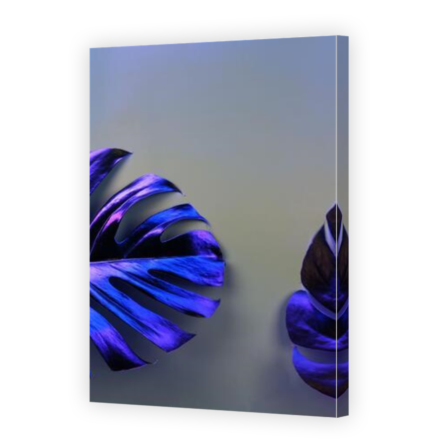 Thumbnail for Canvas - Mirror Image Canvas Wrap