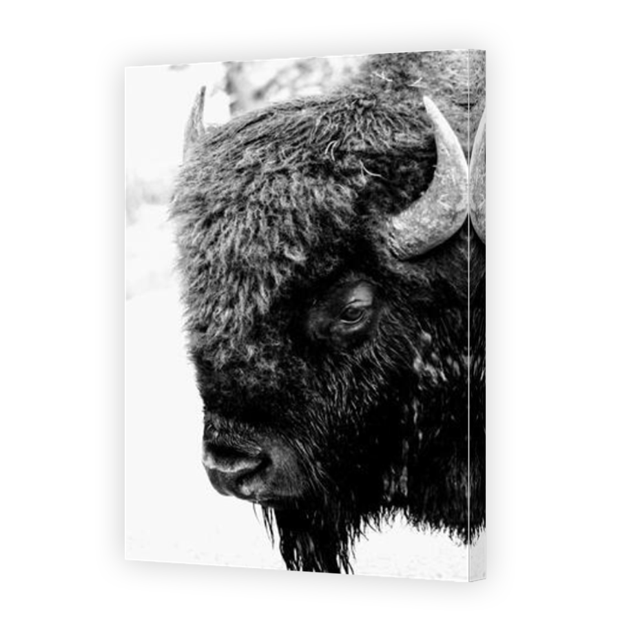 Thumbnail for Canvas - Mirror Image Canvas Wrap