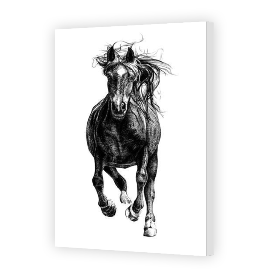 Thumbnail for Canvas - Mirror Image Canvas Wrap