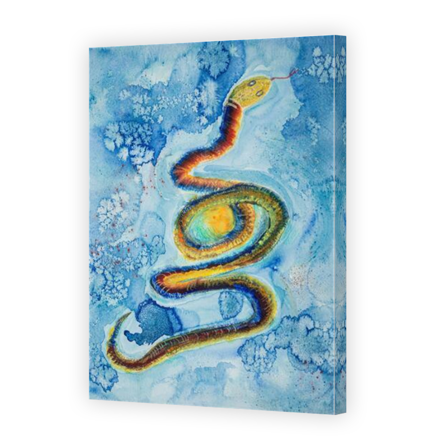 Thumbnail for Canvas - Mirror Image Canvas Wrap