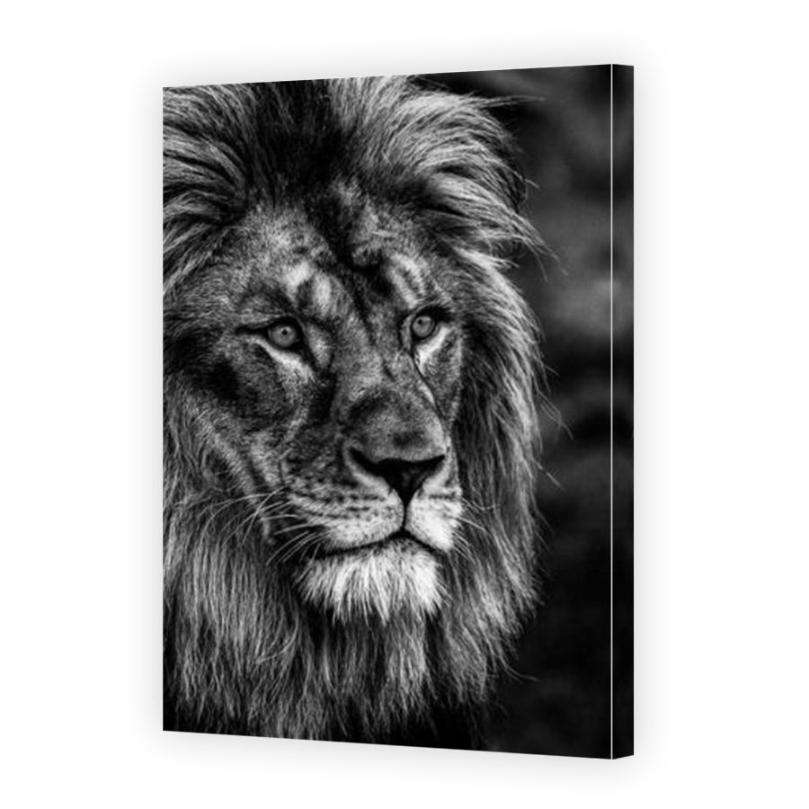 Thumbnail for Canvas - Mirror Image Canvas Wrap