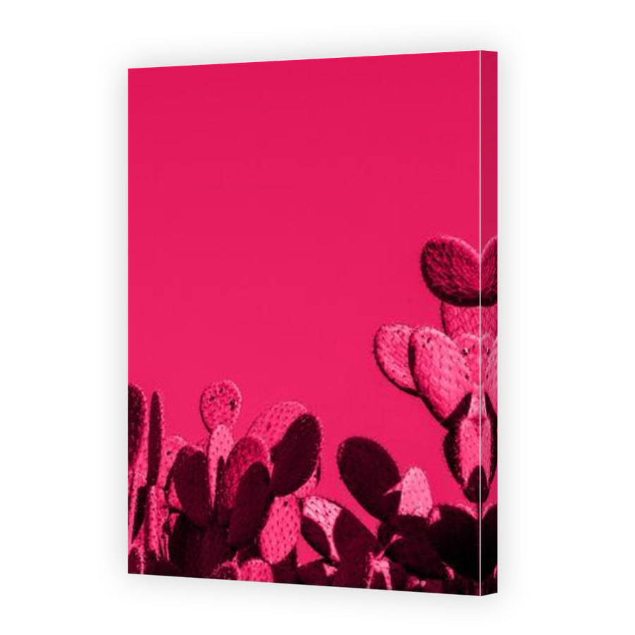 Thumbnail for Canvas - Mirror Image Canvas Wrap