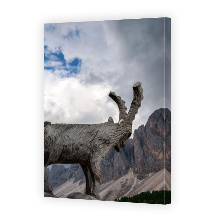 Thumbnail for Canvas - Mirror Image Canvas Wrap