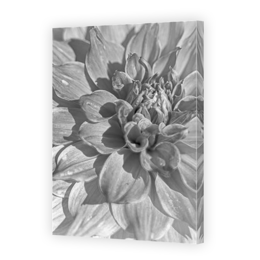 Thumbnail for Canvas - Mirror Image Canvas Wrap