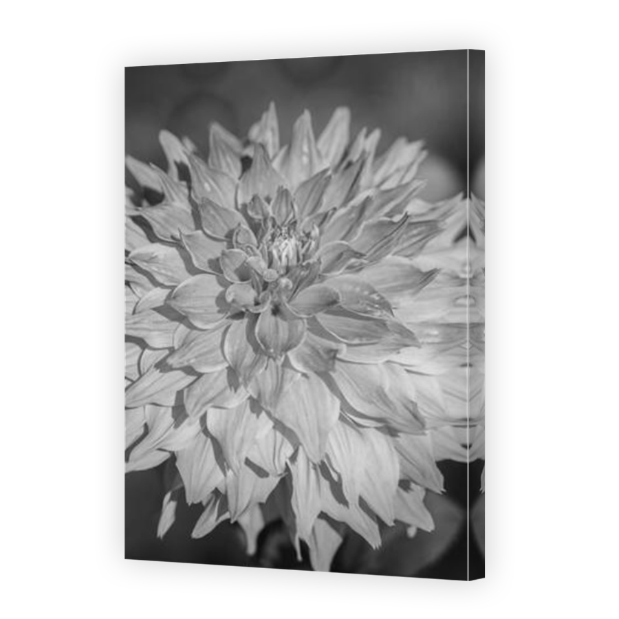 Thumbnail for Canvas - Mirror Image Canvas Wrap