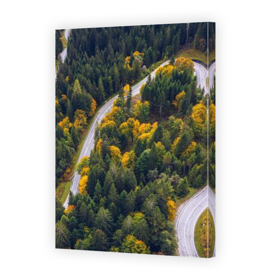 Thumbnail for Canvas - Mirror Image Canvas Wrap
