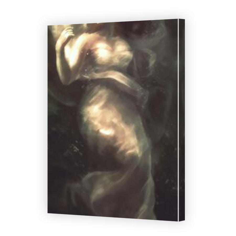 Thumbnail for Canvas - Mirror Image Canvas Wrap