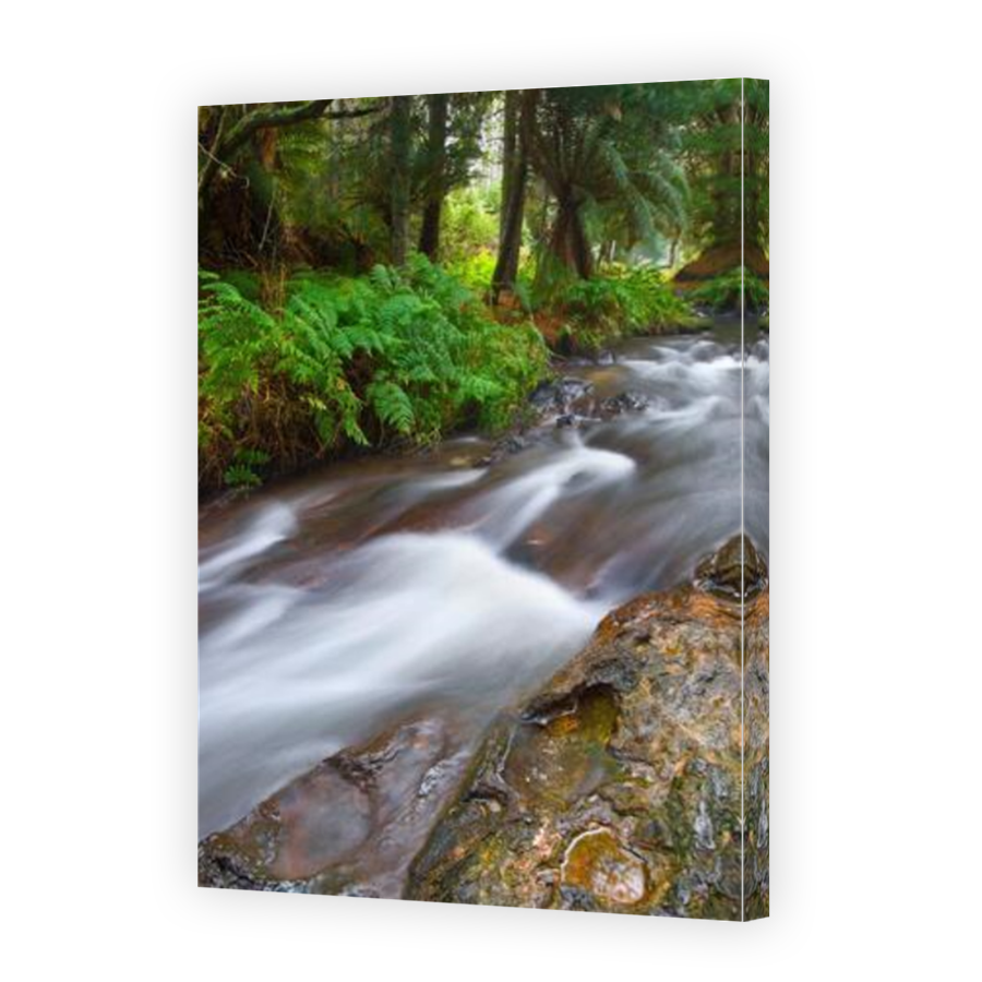 Thumbnail for Canvas - Mirror Image Canvas Wrap