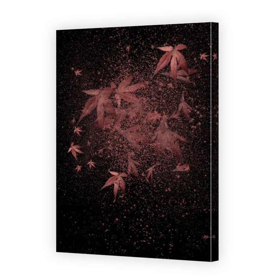 Thumbnail for Canvas - Mirror Image Canvas Wrap