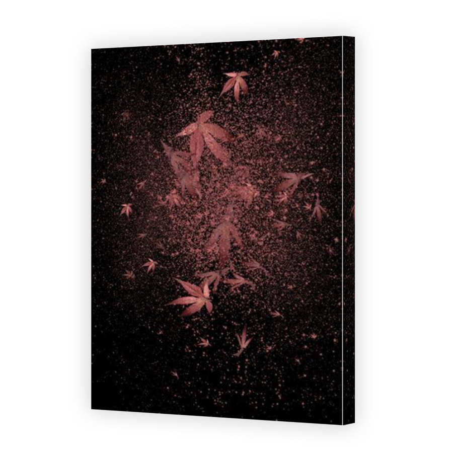 Thumbnail for Canvas - Mirror Image Canvas Wrap