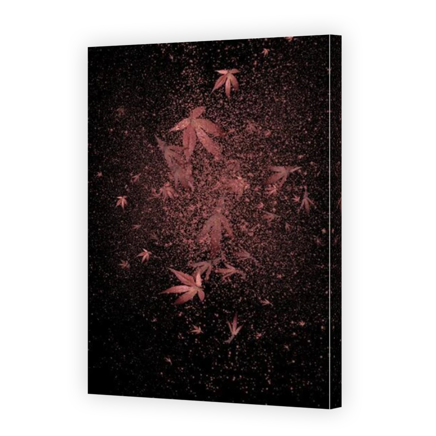 Thumbnail for Canvas - Mirror Image Canvas Wrap
