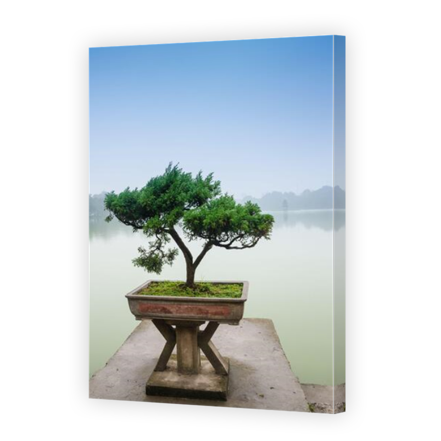 Thumbnail for Canvas - Mirror Image Canvas Wrap
