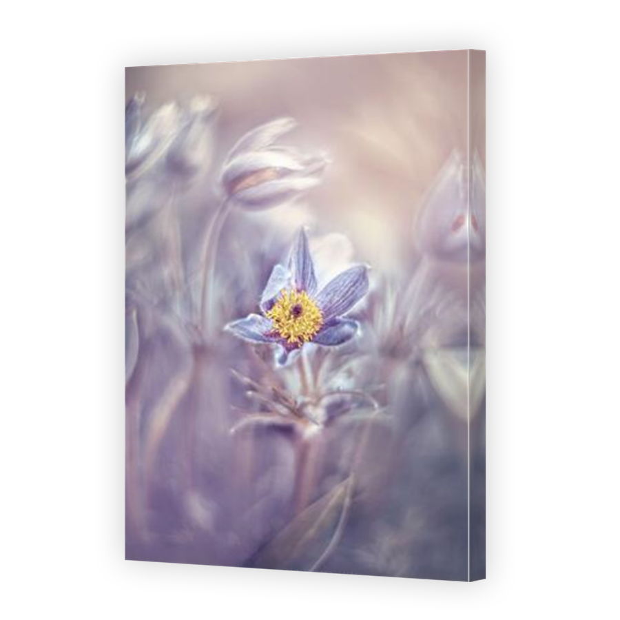 Thumbnail for Canvas - Mirror Image Canvas Wrap