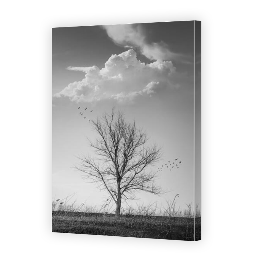 Thumbnail for Canvas - Mirror Image Canvas Wrap