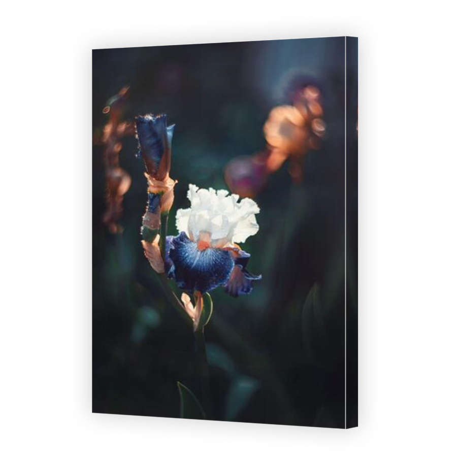 Thumbnail for Canvas - Mirror Image Canvas Wrap