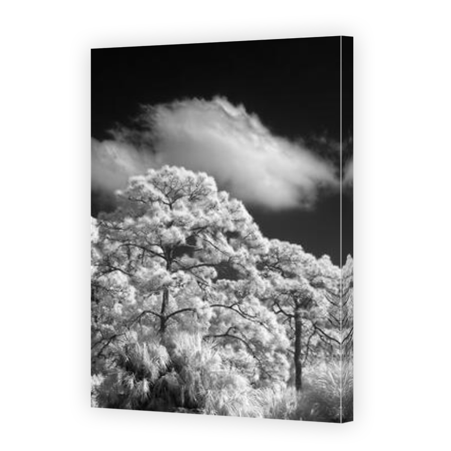 Thumbnail for Canvas - Mirror Image Canvas Wrap