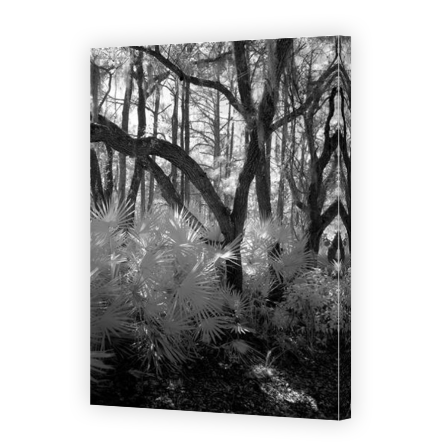 Thumbnail for Canvas - Mirror Image Canvas Wrap