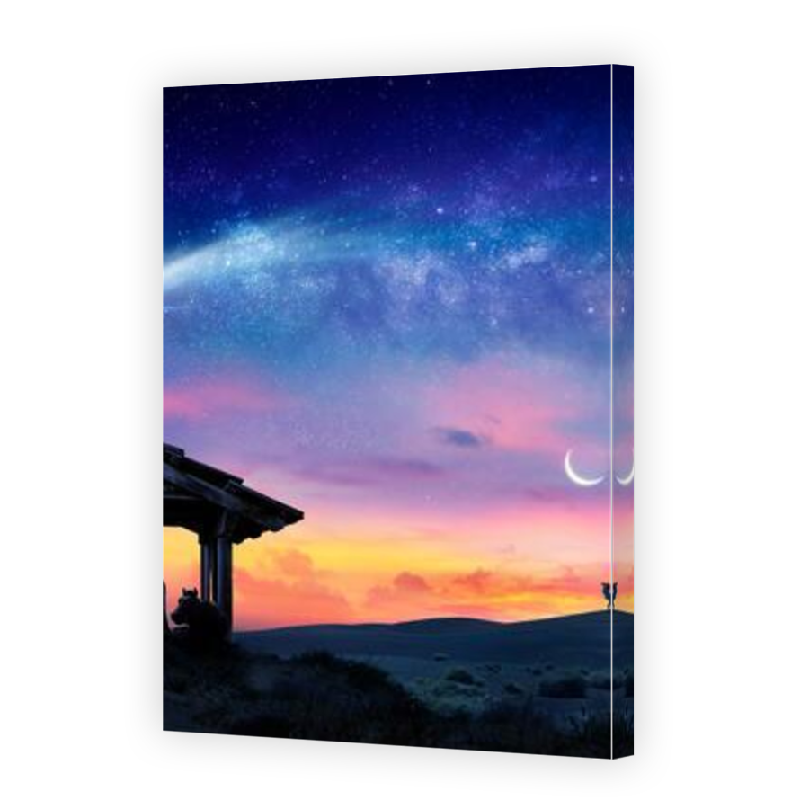 Thumbnail for Canvas - Mirror Image Canvas Wrap