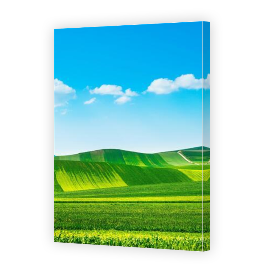Thumbnail for Canvas - Mirror Image Canvas Wrap