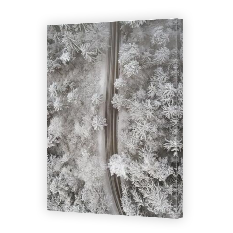 Thumbnail for Canvas - Mirror Image Canvas Wrap