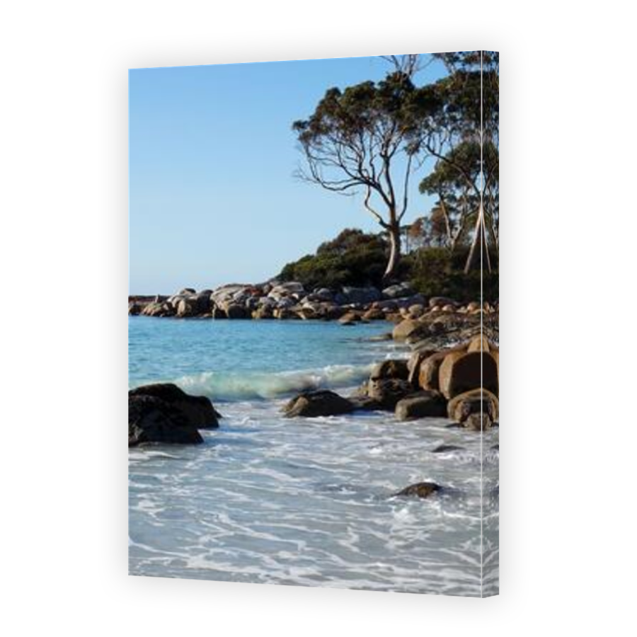 Thumbnail for Canvas - Mirror Image Canvas Wrap