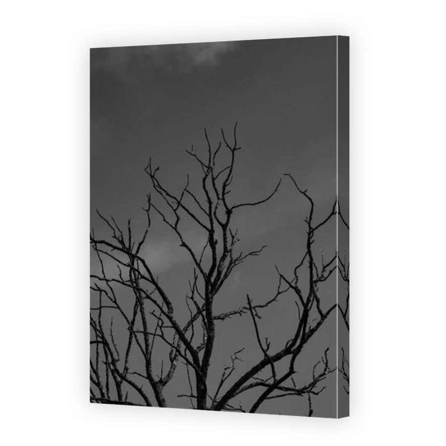 Thumbnail for Canvas - Mirror Image Canvas Wrap