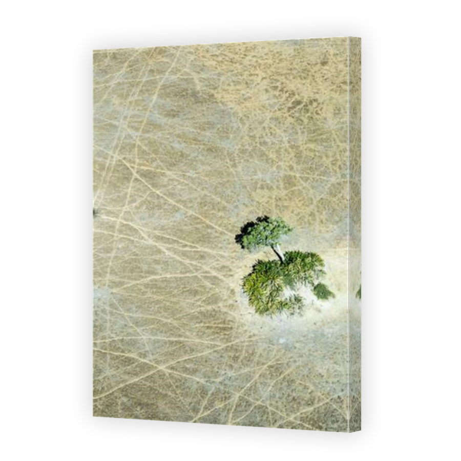 Thumbnail for Canvas - Mirror Image Canvas Wrap