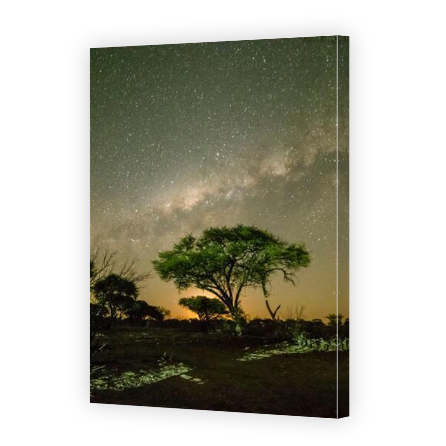 Thumbnail for Canvas - Mirror Image Canvas Wrap