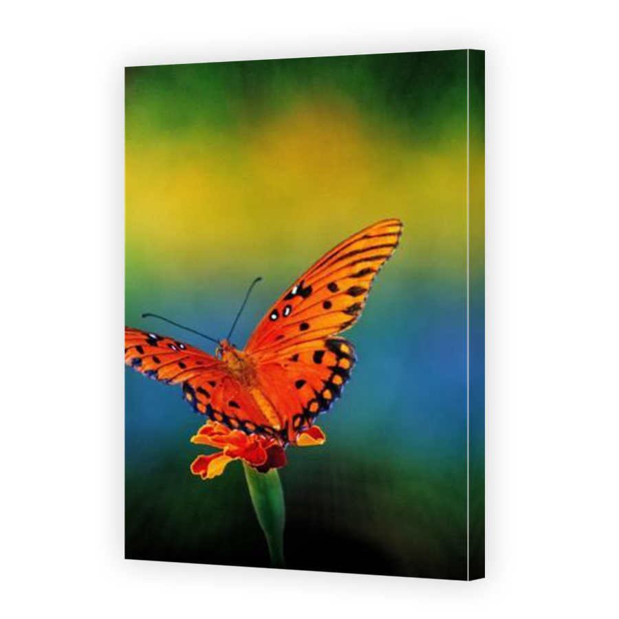 Thumbnail for Canvas - Mirror Image Canvas Wrap
