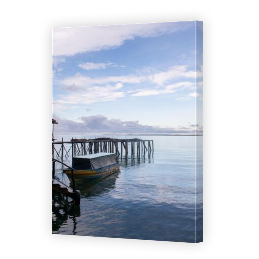 Thumbnail for Canvas - Mirror Image Canvas Wrap