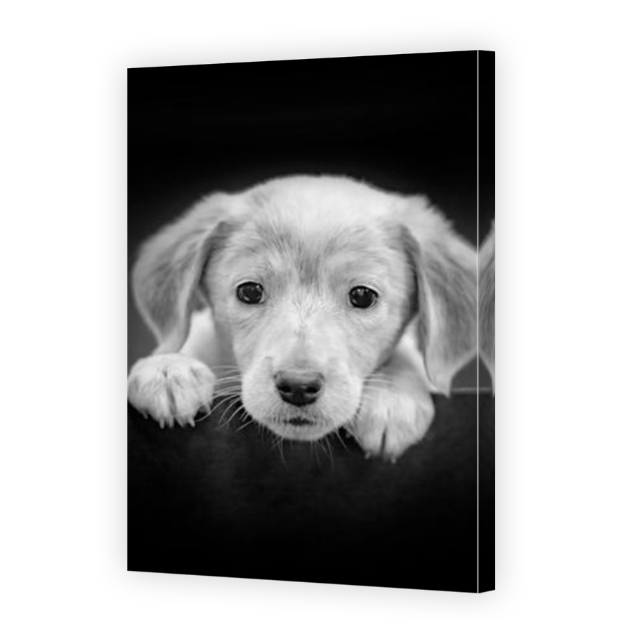 Thumbnail for Canvas - Mirror Image Canvas Wrap