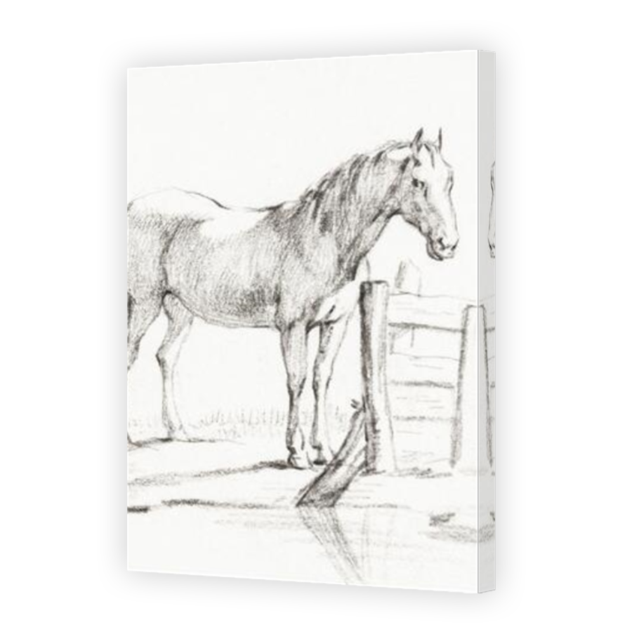 Thumbnail for Canvas - Mirror Image Canvas Wrap