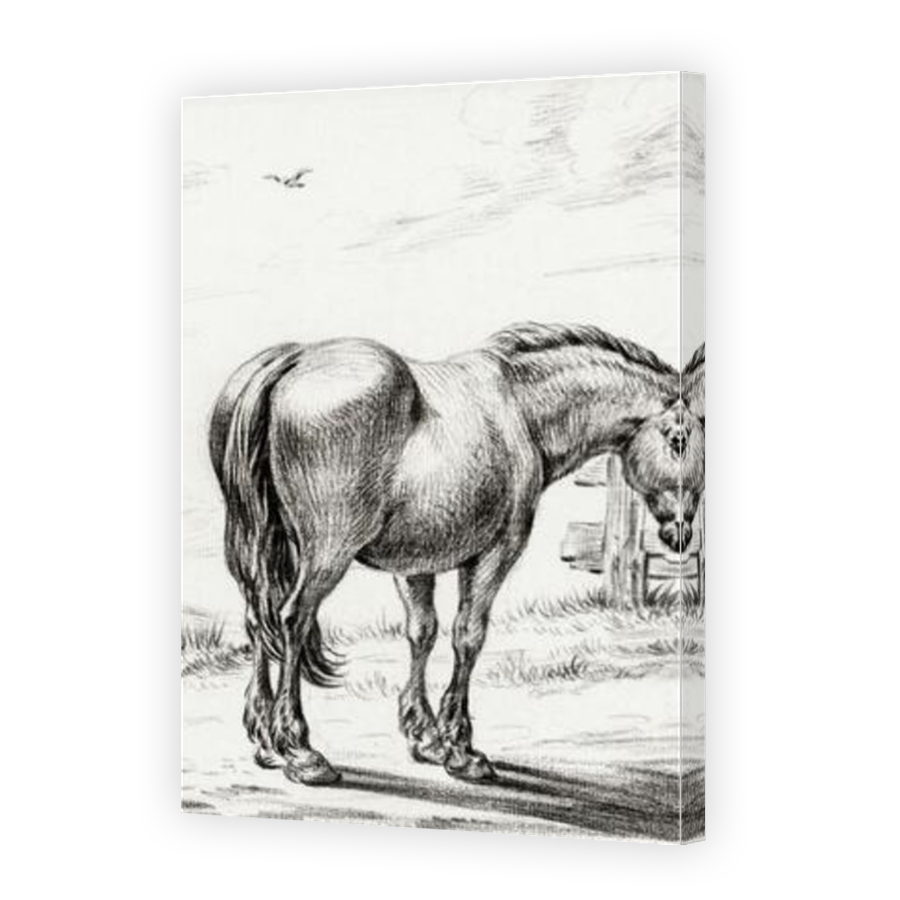 Thumbnail for Canvas - Mirror Image Canvas Wrap