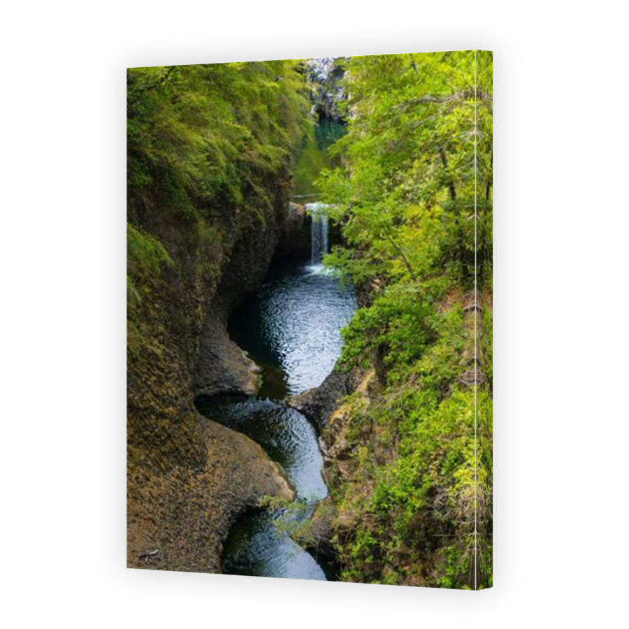 Thumbnail for Canvas - Mirror Image Canvas Wrap