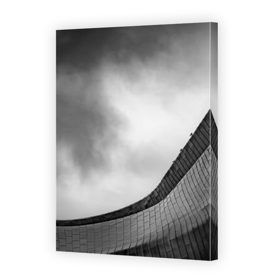 Thumbnail for Canvas - Mirror Image Canvas Wrap