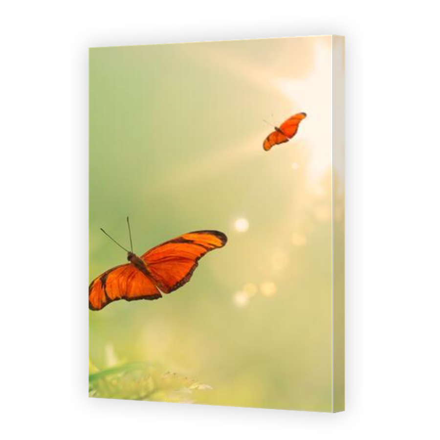 Thumbnail for Canvas - Mirror Image Canvas Wrap