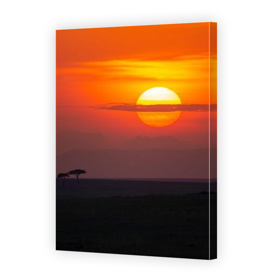 Thumbnail for Canvas - Mirror Image Canvas Wrap
