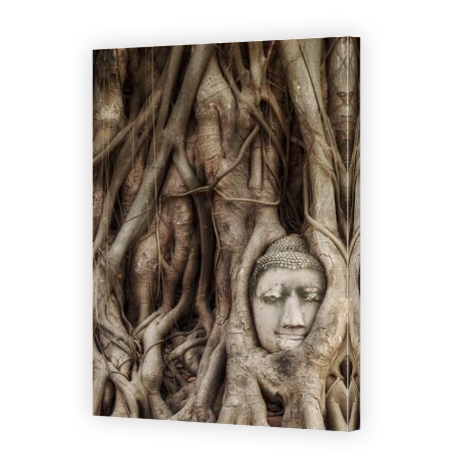 Thumbnail for Canvas - Mirror Image Canvas Wrap