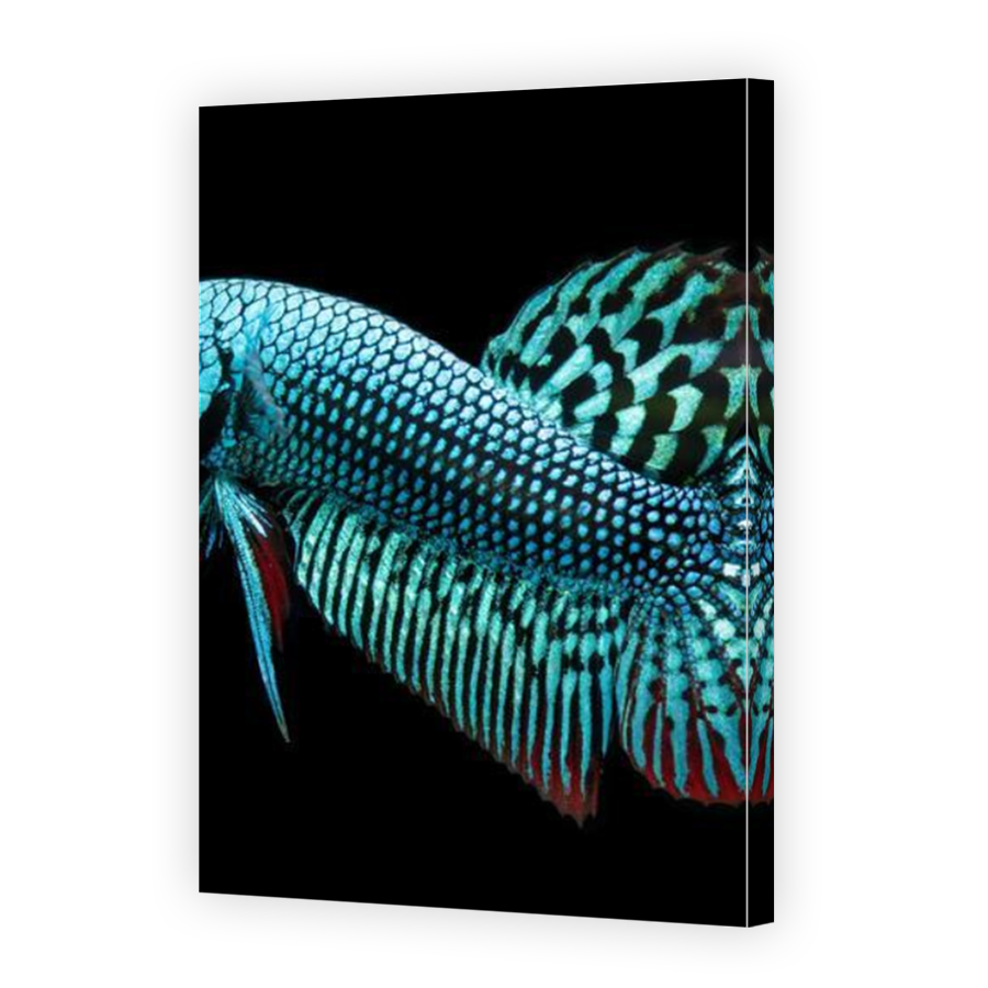 Thumbnail for Canvas - Mirror Image Canvas Wrap