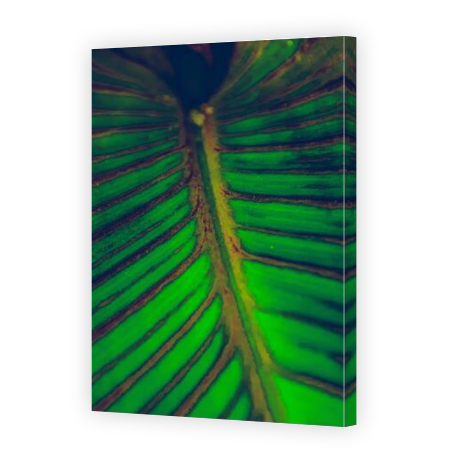 Thumbnail for Canvas - Mirror Image Canvas Wrap