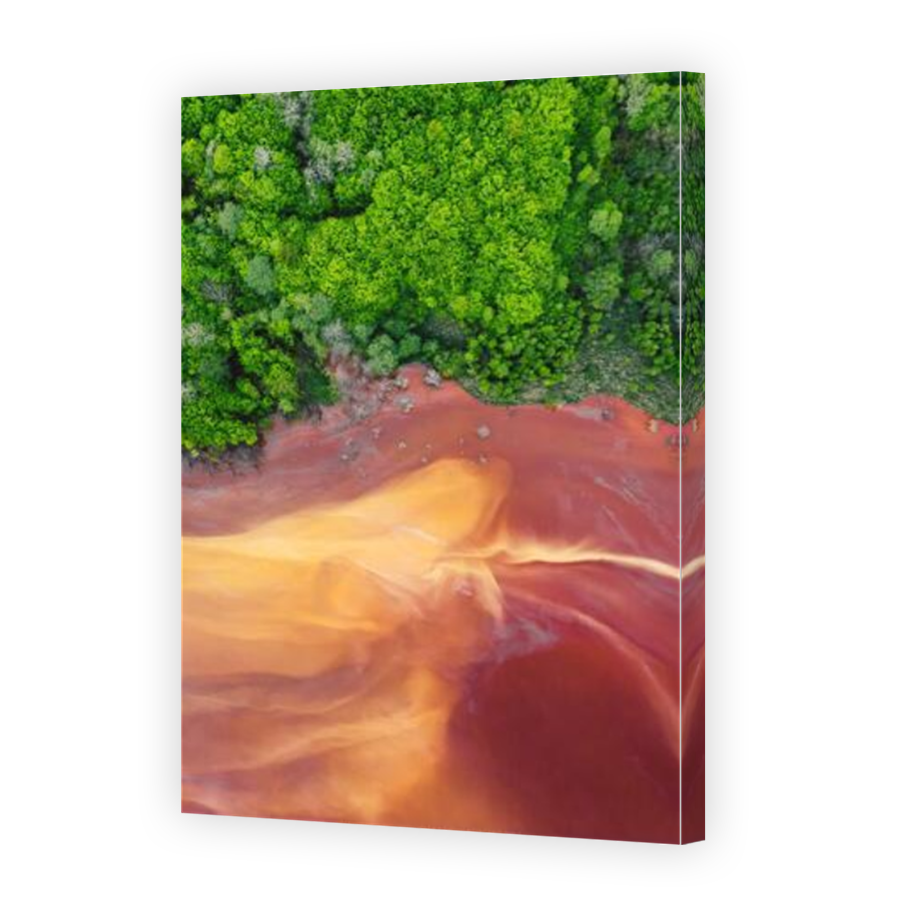 Thumbnail for Canvas - Mirror Image Canvas Wrap