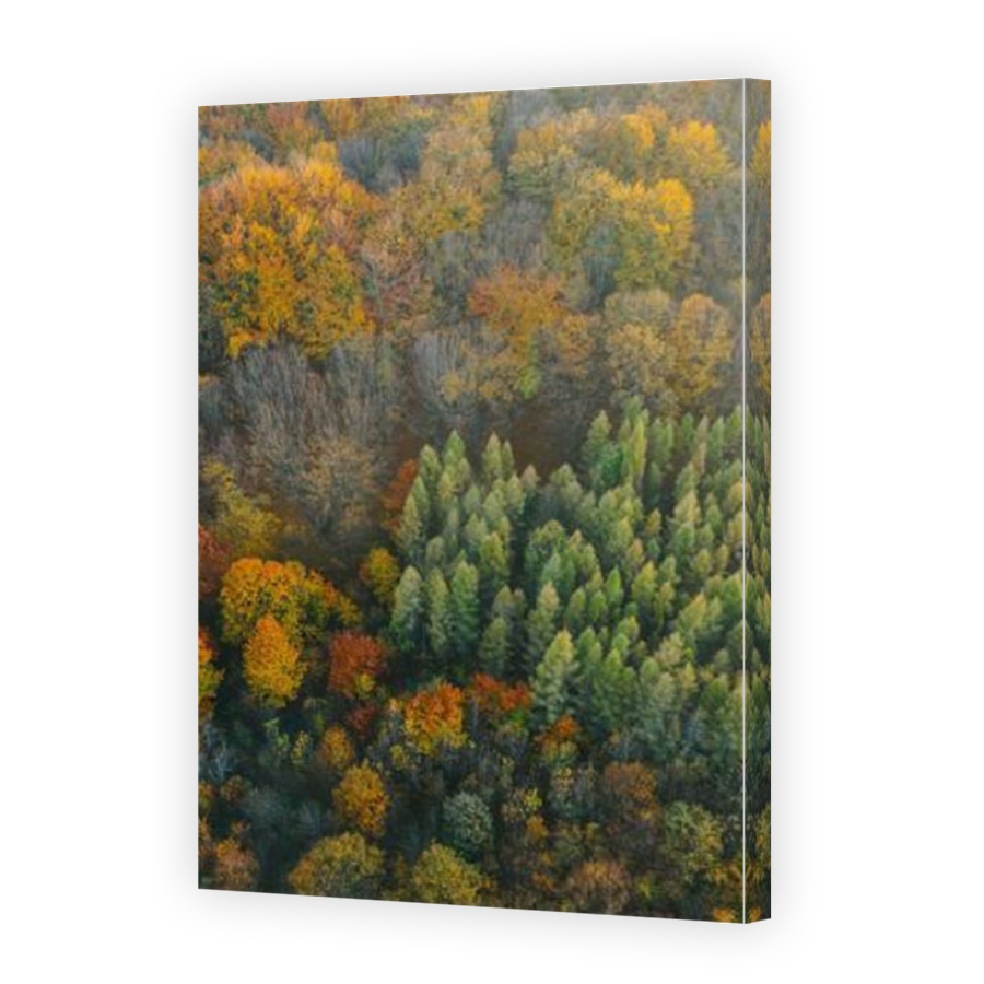 Thumbnail for Canvas - Mirror Image Canvas Wrap